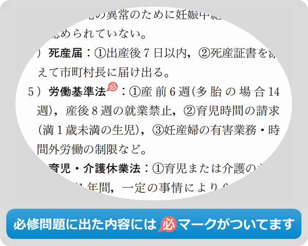 必修問題に出た内容には（必）マークがついてます