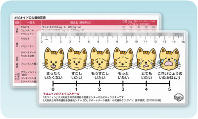 図（付録ポケットカード）