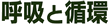 『呼吸と循環』
