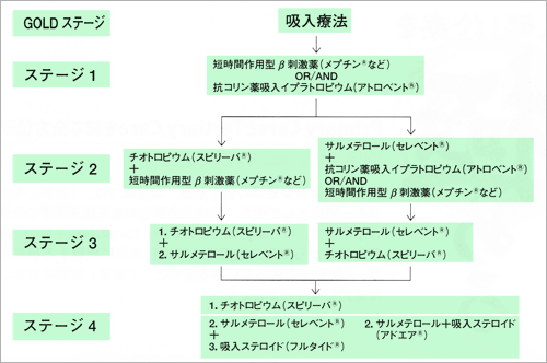 Copd患者へのアプローチ 谷口俊文 2009年 記事一覧 医学界新聞 医学書院