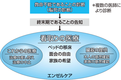 救急医療現場における 看取り の医療について考える 鹿野 恒 2010年 記事一覧 医学界新聞 医学書院