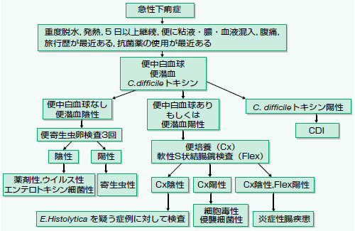 下痢症へのアプローチ 谷口俊文 10年 記事一覧 医学界新聞 医学書院 下痢症へのアプローチ 谷口俊文 10年 記事一覧 医学界新聞 医学書院