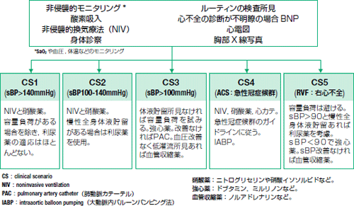 分類 クリニカル シナリオ