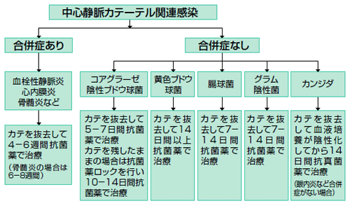 院内感染へのアプローチ 谷口俊文 10年 記事一覧 医学界新聞 医学書院 院内感染へのアプローチ 谷口俊文 10年 記事一覧 医学界新聞 医学書院