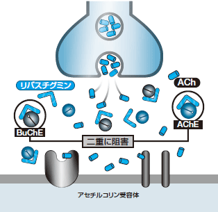 アルツハイマー病の克服をめざして 診断 治療の最前線 下濱俊 朝田隆 石井賢二 2011年 記事一覧 医学界新聞 医学書院