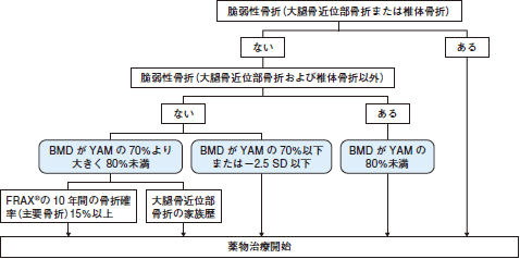 骨粗鬆症治療薬，どう選ぶ？（森隆浩） | 2016年 | 記事一覧 | 医学界