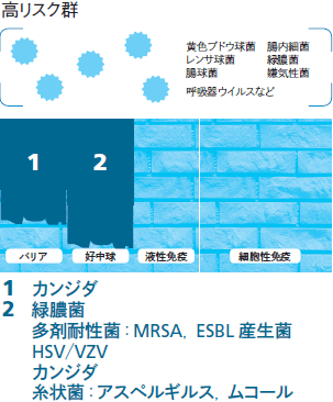 好中球減少と感染症 高リスク群 細菌感染症について 森信好 2016年 記事一覧 医学界新聞 医学書院