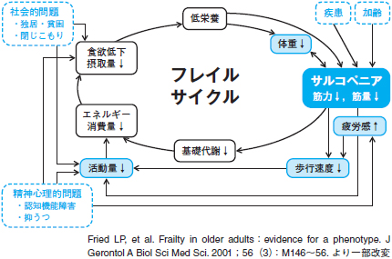 サルコペニアとフレイル（荒井秀典，葛谷雅文，若林秀隆） | 2017年