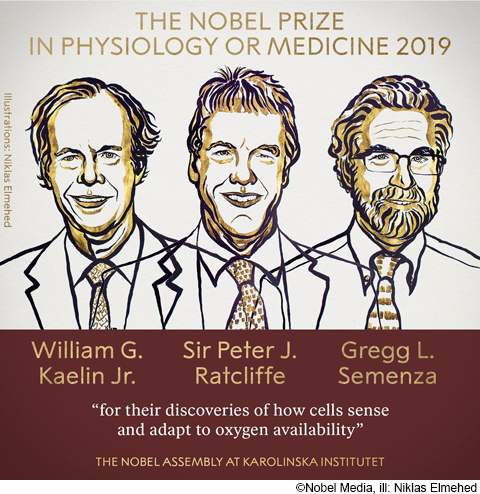 Hif Highly Involved Factor 広田喜一 19年 記事一覧 医学界新聞 医学書院