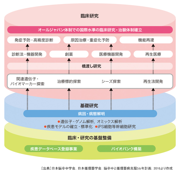 日本 循環 器 学会 ガイドライン
