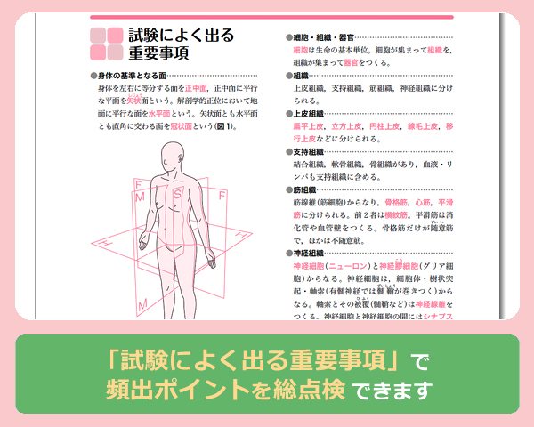 17年版 准看護師試験問題集 書籍詳細 書籍 医学書院