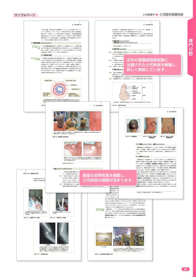 2023年版_系統看護学講座_全70巻