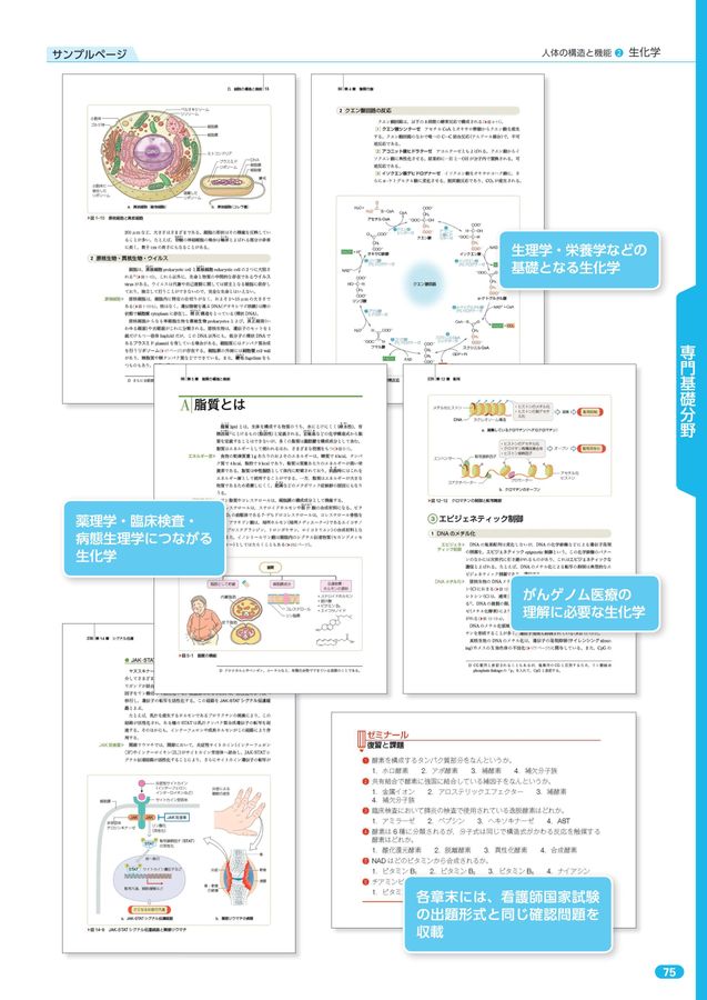 2023年版_系統看護学講座_全70巻 2023年版_系統看護学講座_全70巻