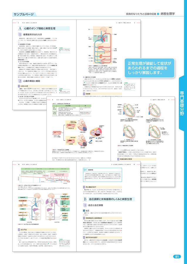 新生理科学大系 13 生体リズムの生理学 Amazon.co.jp: 生物リズムと力学系 (シリーズ・現象を解明する