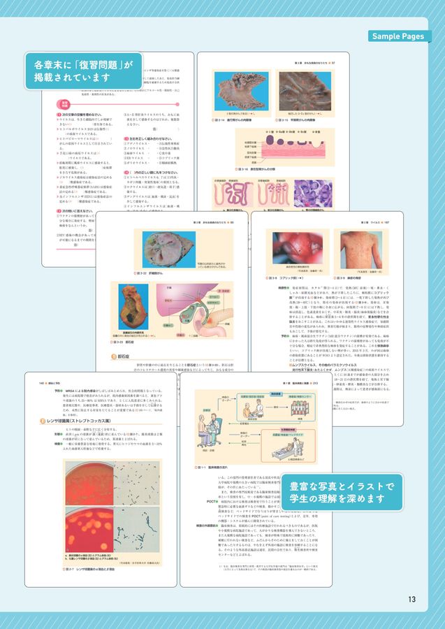 2023年度版［全15巻］新看護学
