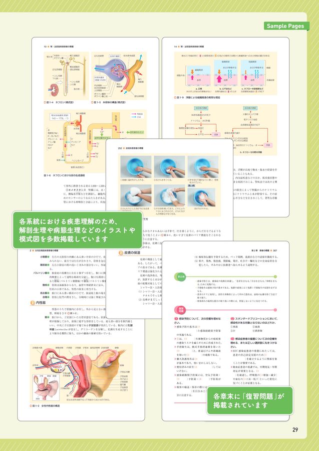 新看護学 1 ,2,3,4,6,7,8,9,10,11,12,13,14,15 成人看護学1 成人看護学概論・成人保健 第7版 (新体系看護学全書