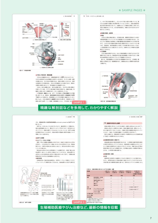 助産診断・技術学II 第6版: [1]妊娠期 (助産学講座) | 我部山