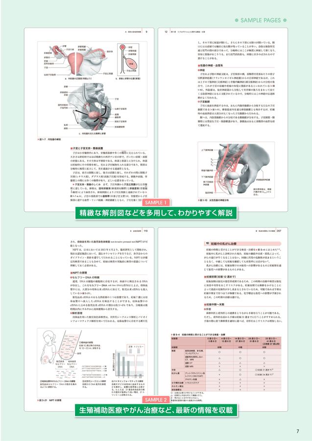 助産学講座2025年版パンフレット