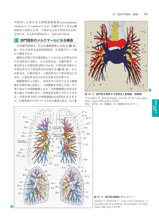 標準医学_標準放射線医学_第7版_立読み