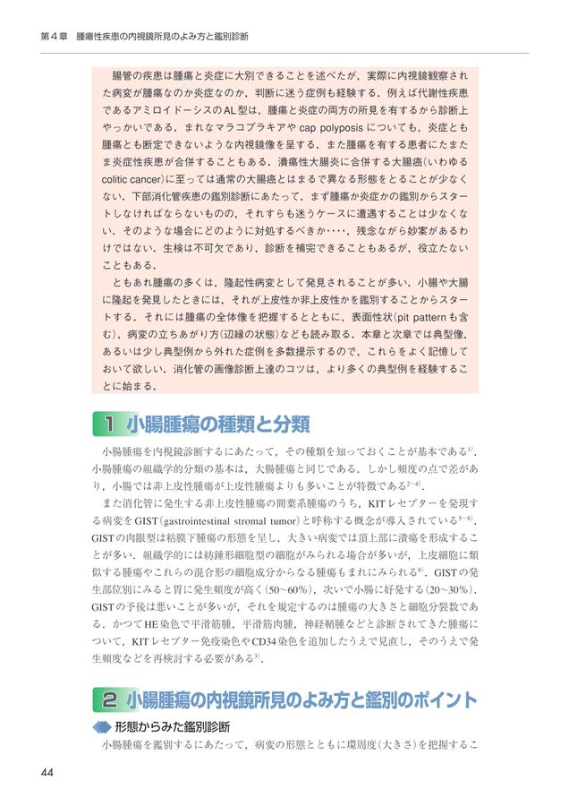 内視鏡所見のよみ方と鑑別診断 下部消化管 内視鏡所見のよみ方と鑑別診断―上部消化管 第3版 | 小原勝敏 春