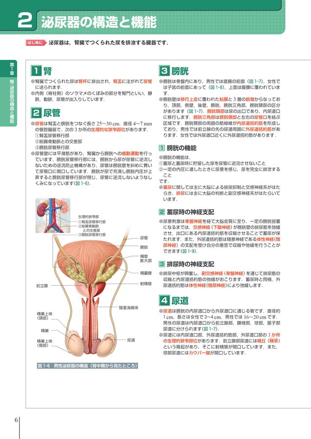 腎・泌尿器 系統看護学講座 専門分野2―〔8〕 腎・泌尿器 第14版 | 書籍詳細 | 書籍 | 医学書院