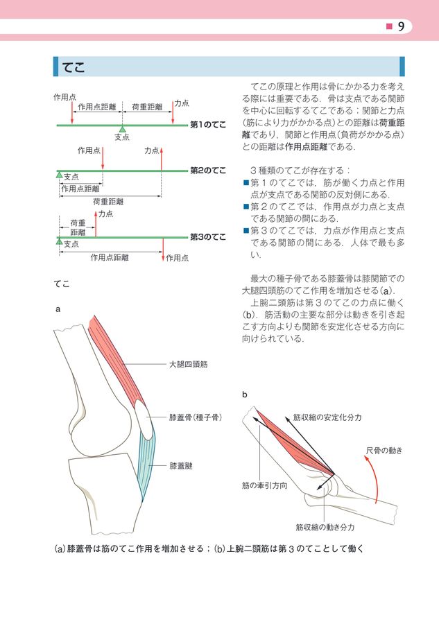 機能解剖ポケットブック_立読み
