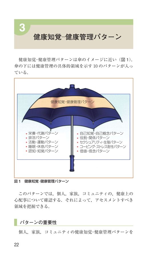 アセスメント覚え書_ゴードン機能的健康パターンと看護診断_立読み