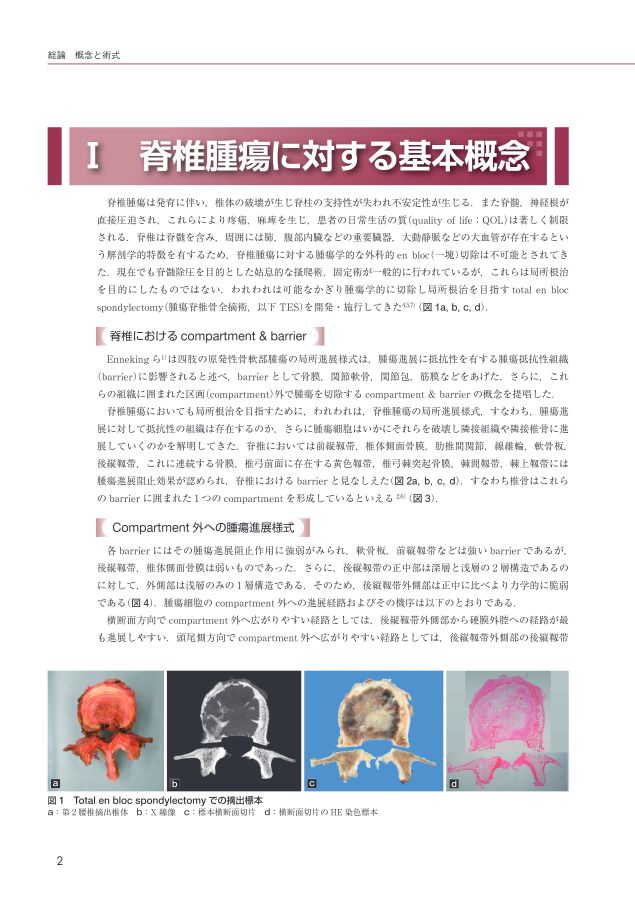 脊椎腫瘍の手術　DVD付き　状態良好　医学書院 脊椎腫瘍の手術 [DVD付] | 書籍詳細 | 書籍 | 医学書院
