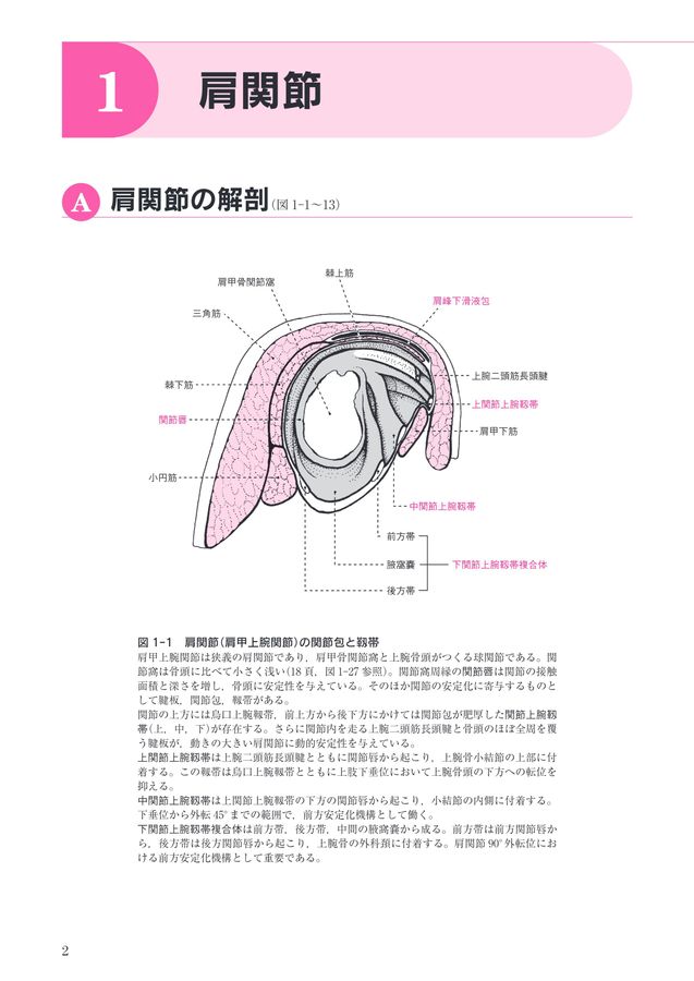 骨・関節X線写真の撮りかたと見かた_第8版_立読み