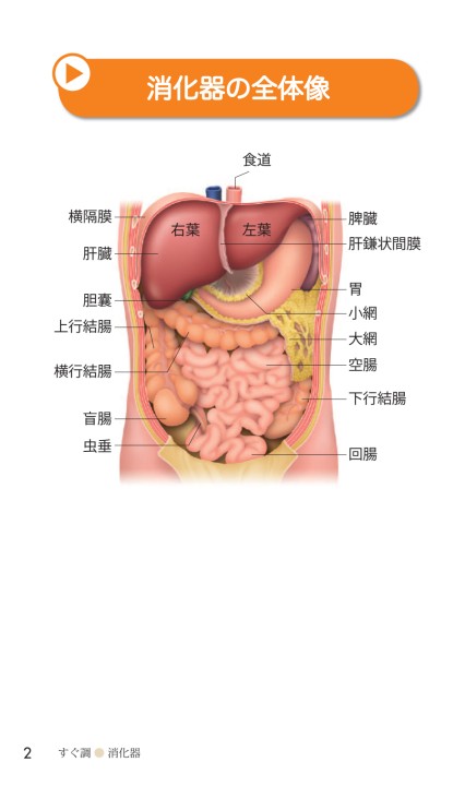 消化器_立読み