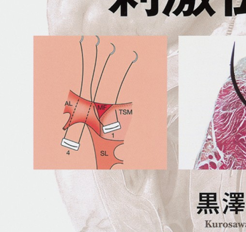 心臓外科の刺激伝導系_立読み