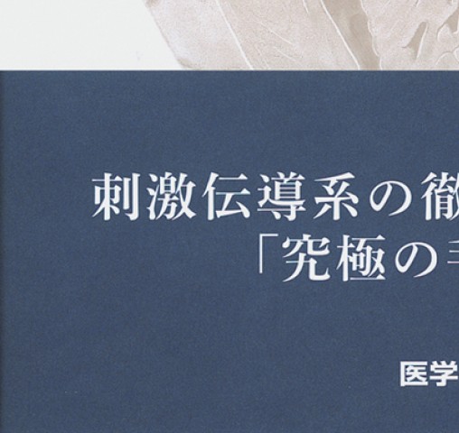 心臓外科の刺激伝導系 刺激伝導系を確認できる心臓模型│G08/3 - YouTube