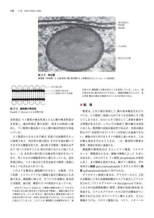 標準組織学総論_立読み