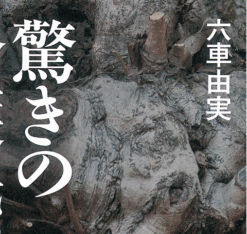 驚きの介護民俗学_立読み