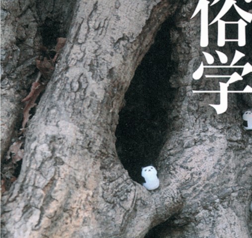 驚きの介護民俗学_立読み