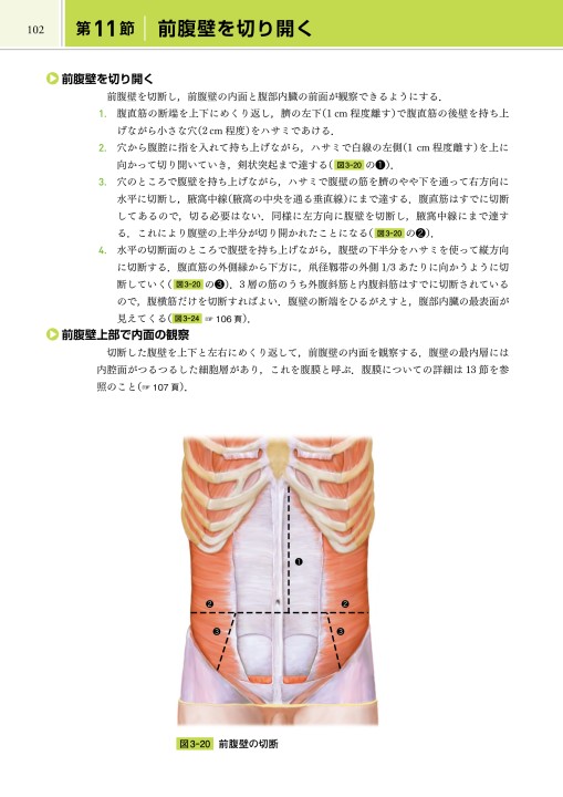 解剖学テキスト 分担解剖学: 総説・骨学・靱帯学・筋学 (第1巻) | 小川 鼎三, 森