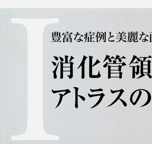 ☆彡裁断済 胃と腸 アトラス １＋２ ２冊セット ☆彡裁断済 胃と腸 アトラス 1＋2 2冊セット - メルカリ