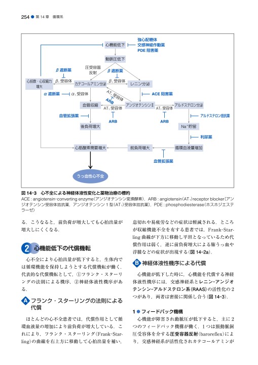 標準薬理学_立ち読み