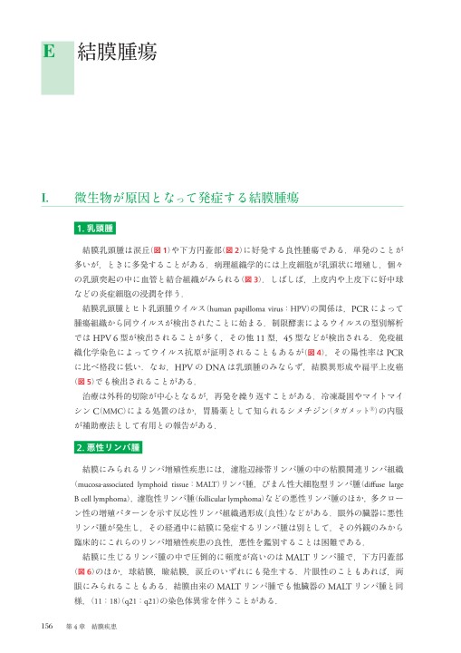 眼感染症診療マニュアル | 書籍詳細 | 書籍 | 医学書院