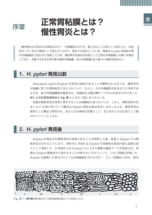 胃の拡大内視鏡診断 商品詳細ページ | メディカルブックセンター