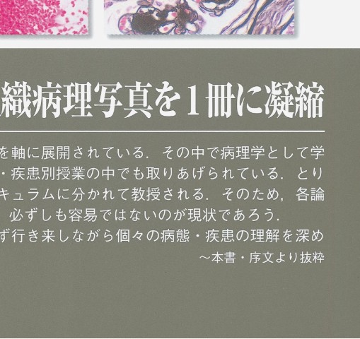 組織病理カラーアトラス 第2版