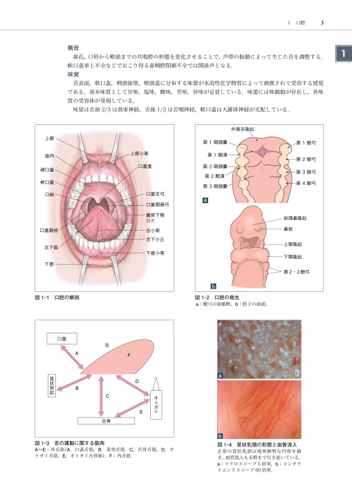 口腔咽頭の臨床(第3版)』 立ち読み