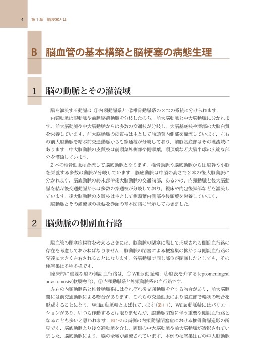 画像からみた脳梗塞と神経心理学 画像からみた 脳梗塞と神経心理学 | 田川 皓一 |本 | 通販 | Amazon