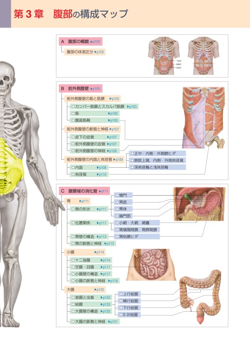 標準解剖学』 立ち読み