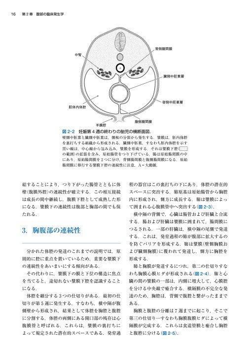 マイヤース腹部放射線診断学 発生学的・解剖学的アプローチ』立ち読み