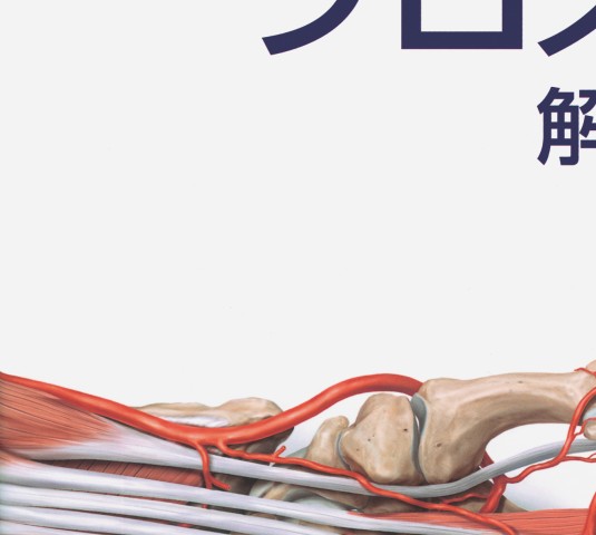 プロメテウス解剖学アトラス 解剖学総論／運動器系 3E』 立ち読み