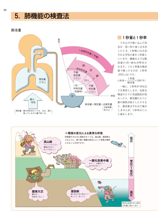 目でみるからだのメカニズム 第2版』 立ち読み