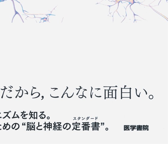 絵でみる脳と神経 しくみと障害のメカニズム 第4版』 立ち読み