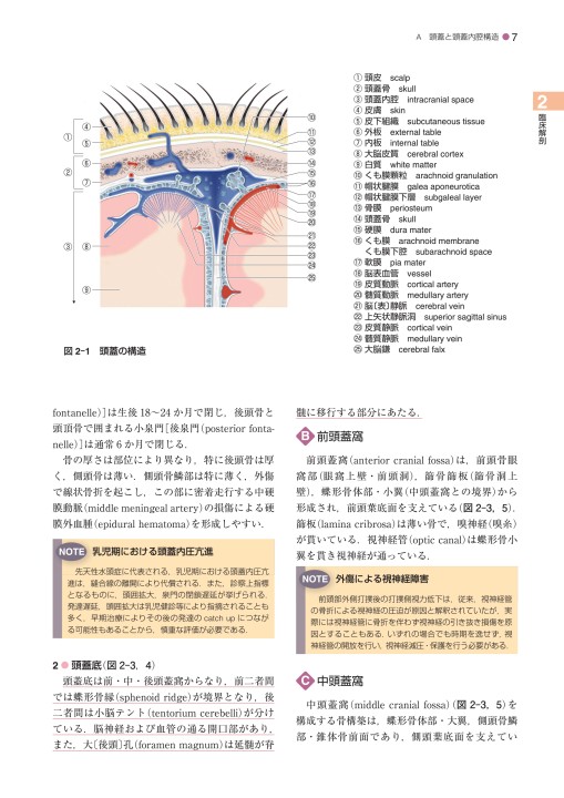 脳神経外科学 第14版』 立ち読み