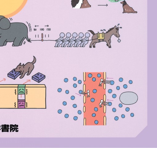 イラストでまなぶ生理学 第3版 立ち読み